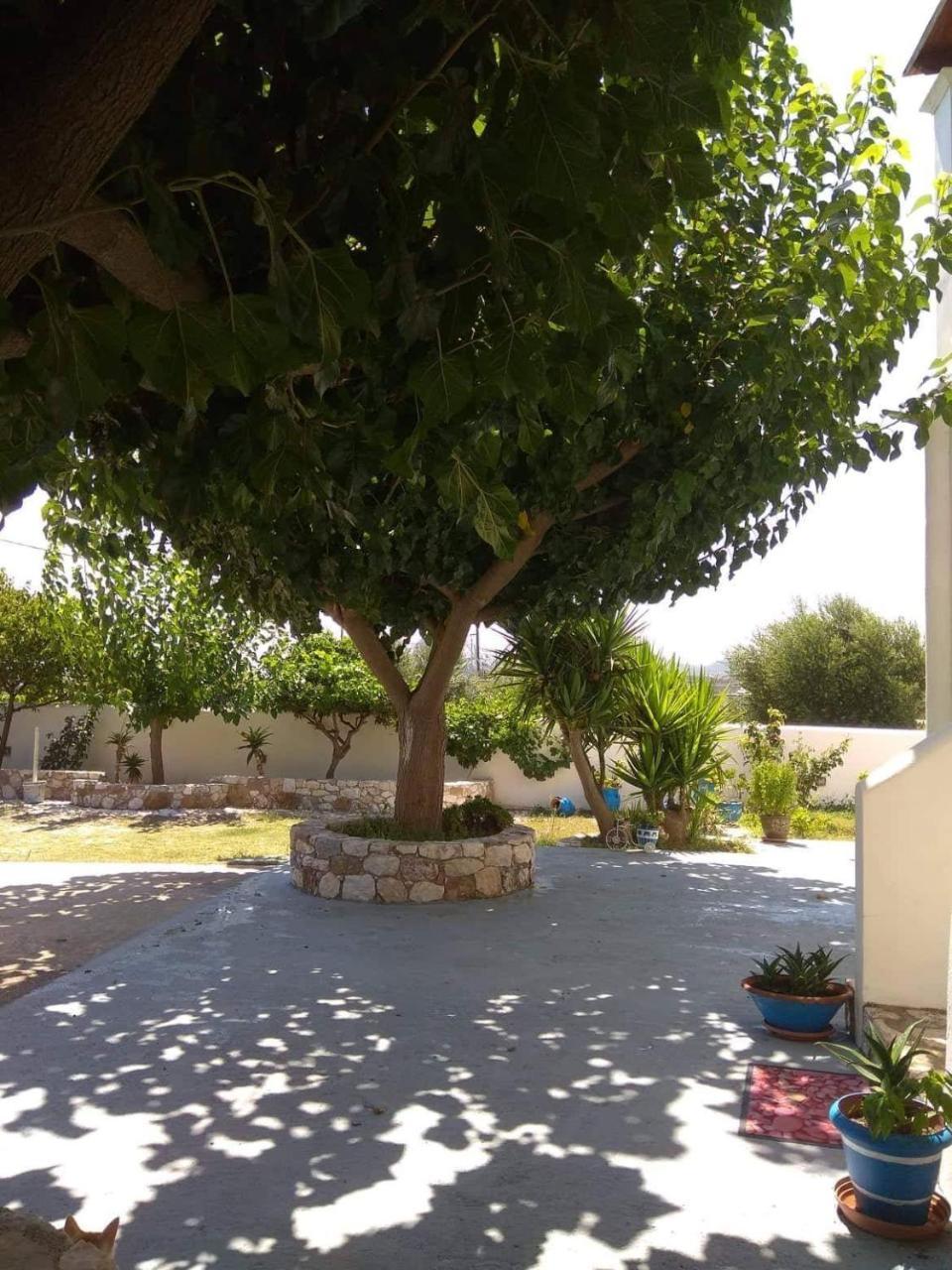 סקירוס Athena'S Houses מראה חיצוני תמונה