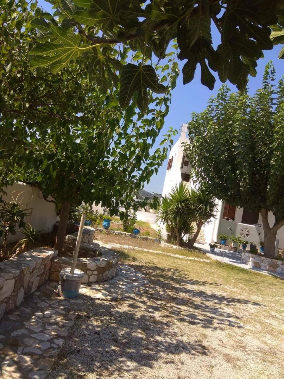 סקירוס Athena'S Houses מראה חיצוני תמונה